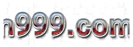 n999com logo